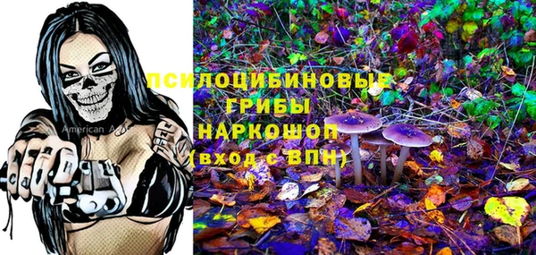 хмурый Алексеевка