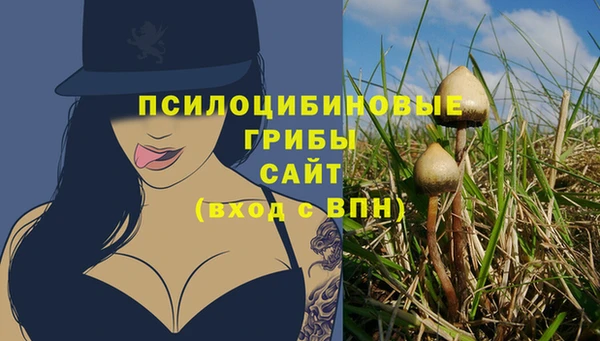 хмурый Алексеевка